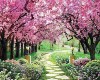 Cherry Blossoms Backdrop