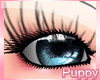 [Pup] Azn Eyelashes V1