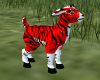 Red Tiger Goat