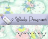 2 Weeks Pregnant (B)