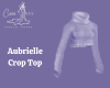 Aubrielle Crop Top