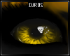 Yellow Skutah (F/M) Eyes