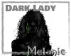 Dark Lady Bats