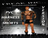 PVC Harness & Shorts V1