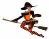 Witchs Broom  +22 Poses