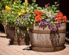 Barrel-of-Flowers