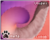 [Pets] Ailva | tail v1
