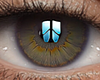 ✔ Eyes