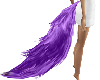 BB* Purple Tail