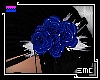 [Roses blue L M/F]
