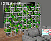 CH*Plant Divider