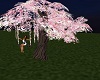 Cherry Blossom w/ swing