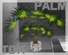 [TDK]Nature Palm