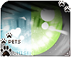 [Pets] Kimi | eyes 2-T