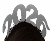 Silver 2026 Head Band