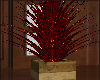 Plant Rustic Red