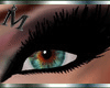 AM-Spectrum Eyes