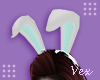V. Bunny Ears V3