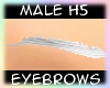 [Male H5]Silver Eyebrows