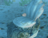 Anim Marine Dolphinchari