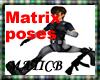 Matrix Poses