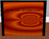 (DJ) Club Citrus Door