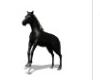 black Horse 2