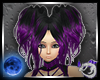 Veronica Purple