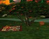 Apple Tree Picnic