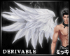 ! Inifinity White Wings