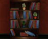 [SD] Book Shelves