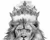 6v3| King Lion Heart