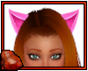 *C Kitty Ears Pink