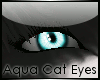 Aqua Blue Cat Eyes :Lim:
