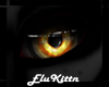 Wckd::EyesV1