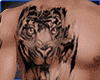 Tiger Body Tattoos