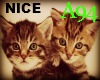 [A94] Cute Cat Sound