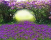 background purple garden