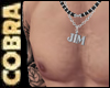 [COB]Silver JIM Necklace