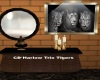 CD Harlow Trio Tigers