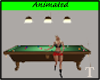 Pool Table w/poses