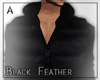 ▲ Black Feather