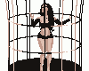 Cage and Dance