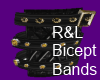 Bicept Bands R&L Topaz