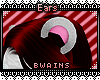 *B* Polarmas Bear Ears