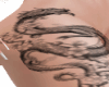 Tatto Dragão