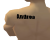 Andrea tattoo (M)