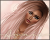 Susanna Faded Rose