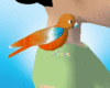 [Nal] Orange Parakeet