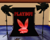  Playboy Backdrop